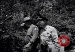 Image of Police manhunt on Long Island Babylon New York USA, 1956, second 37 stock footage video 65675037533