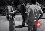 Image of Police manhunt on Long Island Babylon New York USA, 1956, second 42 stock footage video 65675037533