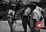 Image of Police manhunt on Long Island Babylon New York USA, 1956, second 43 stock footage video 65675037533