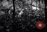 Image of Police manhunt on Long Island Babylon New York USA, 1956, second 57 stock footage video 65675037533