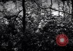 Image of Police manhunt on Long Island Babylon New York USA, 1956, second 58 stock footage video 65675037533