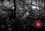 Image of Police manhunt on Long Island Babylon New York USA, 1956, second 59 stock footage video 65675037533