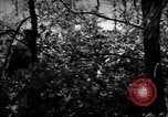 Image of Police manhunt on Long Island Babylon New York USA, 1956, second 60 stock footage video 65675037533