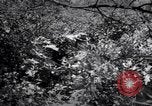 Image of Police manhunt on Long Island Babylon New York USA, 1956, second 62 stock footage video 65675037533
