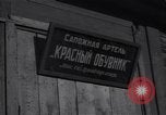 Immagine di Fabbrica di scarpe Bielorussia Minsk Unione Sovietica, 1947, secondo 4 filmato di repertorio 65675037548