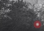 Image of South Vietnamese soldiers  Vietnam, 1967, second 19 stock footage video 65675037574