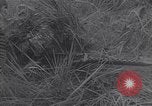 Image of South Vietnamese soldiers  Vietnam, 1967, second 49 stock footage video 65675037574