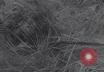 Image of South Vietnamese soldiers  Vietnam, 1967, second 50 stock footage video 65675037574