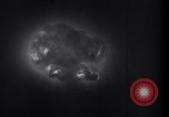 Image of Atom Bomb Bremen Germany, 1945, second 42 stock footage video 65675037578