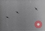Standbild B-17 Berlin Deutschland, 1945, aus Sekunde 26 historischem Filmmaterial Videoclip 65675037584