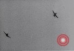 Standbild B-17 Berlin Deutschland, 1945, aus Sekunde 28 historischem Filmmaterial Videoclip 65675037584