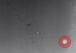 Image of United States B-24 aircraft Germany, 1945, second 6 stock footage video 65675037585