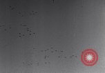 Image of United States B-24 aircraft Germany, 1945, second 8 stock footage video 65675037585