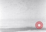 Image of American bombing of Berlin Germany in World War 2 Berlin Germany, 1944, second 12 stock footage video 65675037589