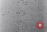 Standbild 8th US Air Force Bombardierung Dresden in Zweiten Weltkrieg Dresden Deutschland, 1945, aus Sekunde 62 historischem Filmmaterial Videoclip 65675037596