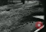 Image of Warsaw capitulates after siege by German forces Warsaw Poland, 1939, second 50 stock footage video 65675037612
