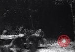 Image of German Heinkel HE-111 bombers Poland, 1939, second 17 stock footage video 65675037613