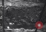 Image of German Air Force bombing campaign in Poland Poland, 1939, second 62 stock footage video 65675037615