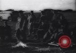 Image of German Ju-52 bombers bombard Polish targets Warsaw Poland, 1939, second 21 stock footage video 65675037619