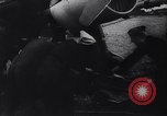 Image of Ju-87 Stuka dive bombers Warsaw Poland, 1939, second 40 stock footage video 65675037621