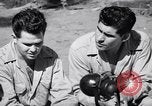 Image of Former American prisoners of Japanese interviewed Morotai Island, 1945, second 3 stock footage video 65675037627