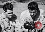 Image of Former American prisoners of Japanese interviewed Morotai Island, 1945, second 17 stock footage video 65675037627