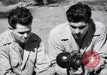 Image of Former American prisoners of Japanese interviewed Morotai Island, 1945, second 25 stock footage video 65675037627