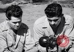 Image of Former American prisoners of Japanese interviewed Morotai Island, 1945, second 27 stock footage video 65675037627