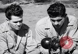 Image of Former American prisoners of Japanese interviewed Morotai Island, 1945, second 32 stock footage video 65675037627