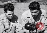 Image of Former American prisoners of Japanese interviewed Morotai Island, 1945, second 35 stock footage video 65675037627