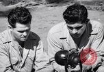 Image of Former American prisoners of Japanese interviewed Morotai Island, 1945, second 37 stock footage video 65675037627