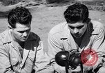 Image of Former American prisoners of Japanese interviewed Morotai Island, 1945, second 38 stock footage video 65675037627