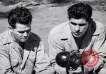 Image of Former American prisoners of Japanese interviewed Morotai Island, 1945, second 40 stock footage video 65675037627