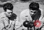 Image of Former American prisoners of Japanese interviewed Morotai Island, 1945, second 43 stock footage video 65675037627