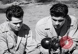 Image of Former American prisoners of Japanese interviewed Morotai Island, 1945, second 44 stock footage video 65675037627