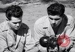 Image of Former American prisoners of Japanese interviewed Morotai Island, 1945, second 46 stock footage video 65675037627