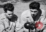 Image of Former American prisoners of Japanese interviewed Morotai Island, 1945, second 48 stock footage video 65675037627
