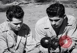 Image of Former American prisoners of Japanese interviewed Morotai Island, 1945, second 50 stock footage video 65675037627