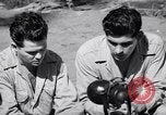 Image of Former American prisoners of Japanese interviewed Morotai Island, 1945, second 60 stock footage video 65675037627