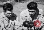Image of Former American prisoners of Japanese interviewed Morotai Island, 1945, second 61 stock footage video 65675037627