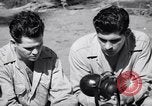 Image of Former American prisoners of Japanese interviewed Morotai Island, 1945, second 62 stock footage video 65675037627