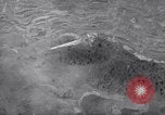 Standbild H-6 Helikopter Luzon Philippinen, 1945, aus Sekunde 13 historischem Filmmaterial Videoclip 65675037632