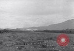 Immagine di Stinson L-5C Isola di Luzon nelle Filippine, 1947, secondo 37 filmato di repertorio 65675037633