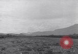 Immagine di Stinson L-5C Isola di Luzon nelle Filippine, 1947, secondo 41 filmato di repertorio 65675037633