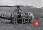 Immagine di L-5 velivolo Isola di Luzon nelle Filippine, 1947, secondo 60 filmato di repertorio 65675037634