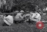 Standbild L-5 Shingbwiyang Birma, 1945, aus Sekunde 9 historischem Filmmaterial Videoclip 65675037635