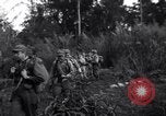 Standbild L-5 Shingbwiyang Birma, 1945, aus Sekunde 12 historischem Filmmaterial Videoclip 65675037635