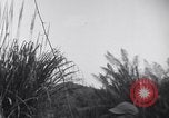 Standbild L-5 Shingbwiyang Birma, 1945, aus Sekunde 18 historischem Filmmaterial Videoclip 65675037635