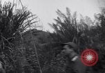Standbild L-5 Shingbwiyang Birma, 1945, aus Sekunde 19 historischem Filmmaterial Videoclip 65675037635