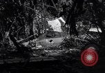Standbild L-5 Shingbwiyang Birma, 1945, aus Sekunde 36 historischem Filmmaterial Videoclip 65675037635